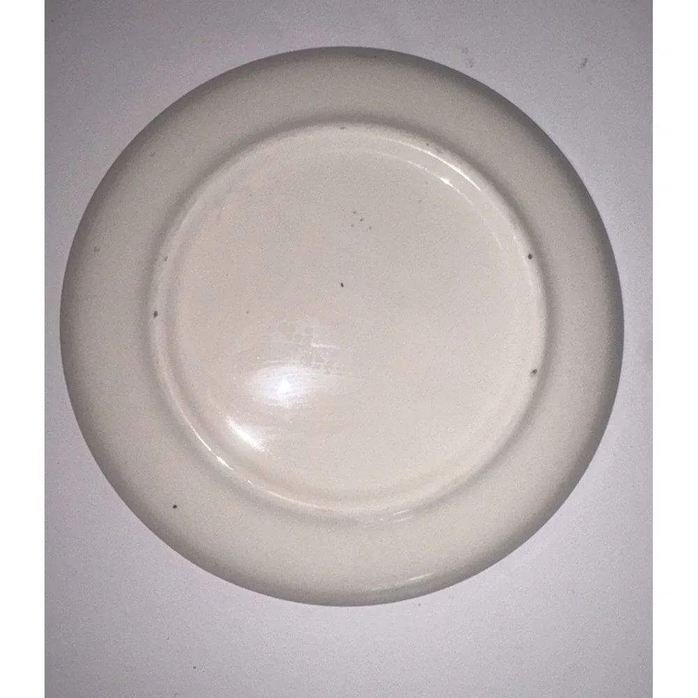 OKLAHOMA Vintage Souvenir Collector Plate Sooner State